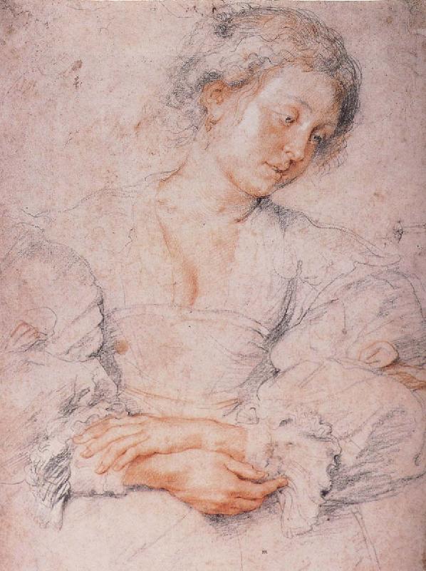 Peter Paul Rubens The Girl oil painting image